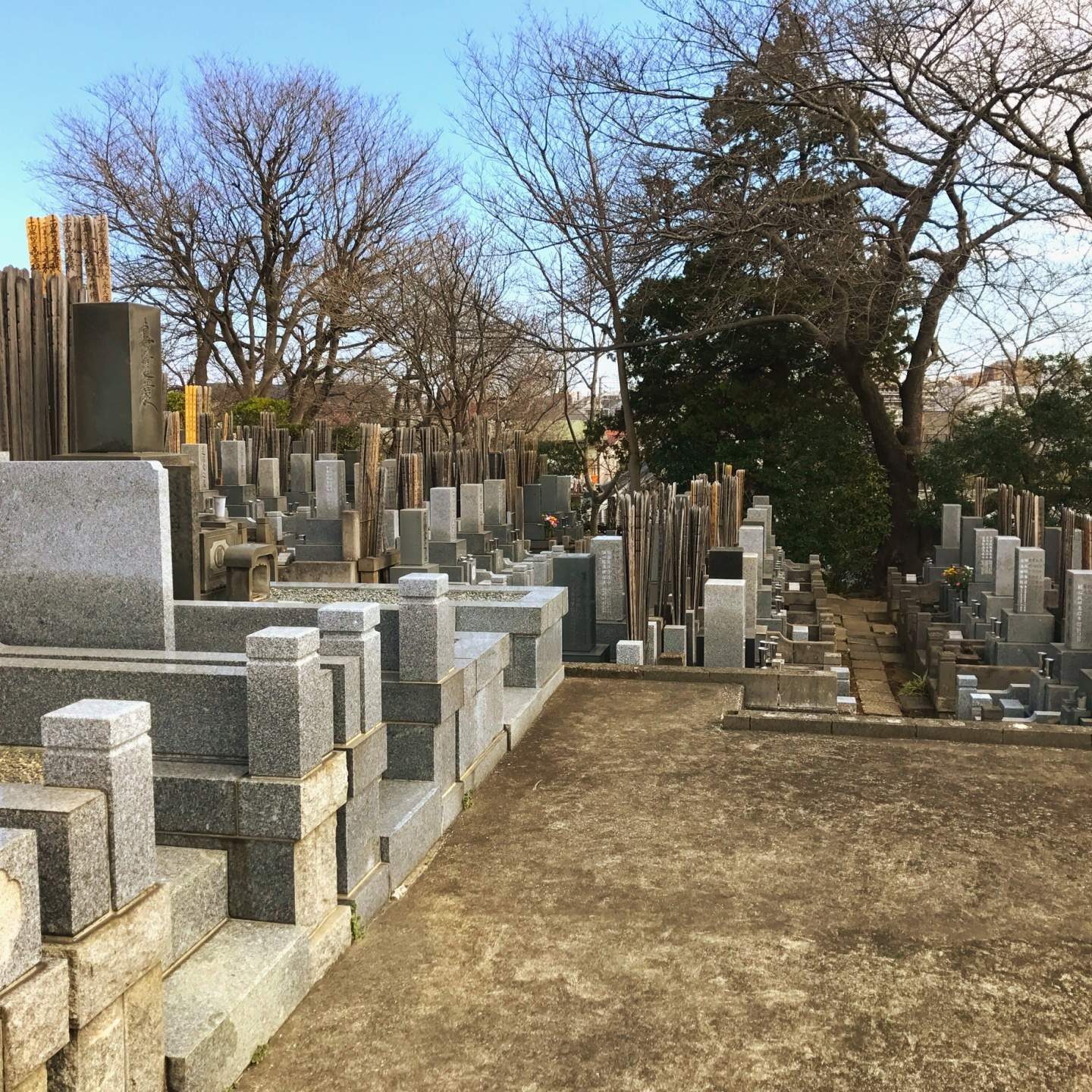 東京のお墓：異彩を放つ観光スポットというタイトルが適切かもしれません。